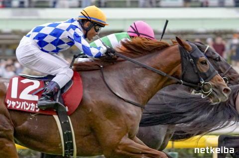 シャンパンカラー