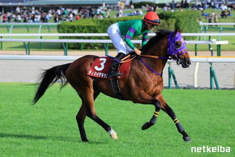 ディマイザキッド