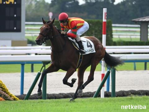 アーリーハーベスト