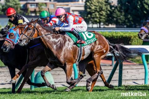 カルプスペルシュ