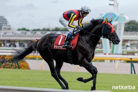 マジックサンズ