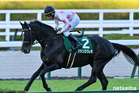 マテンロウレオ