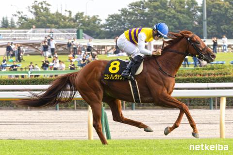 ニシノレヴナント