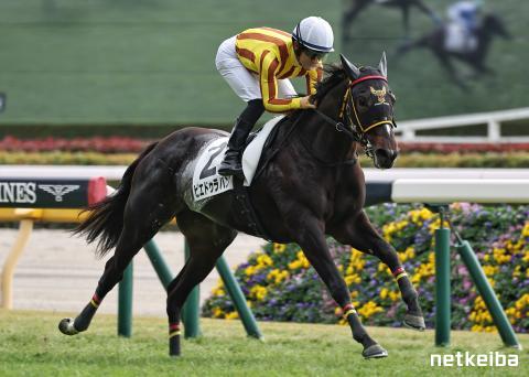 ピエドゥラパン