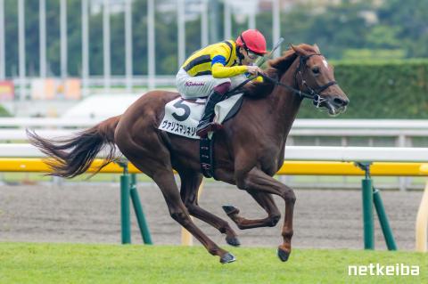 ヴァリスマリネリス