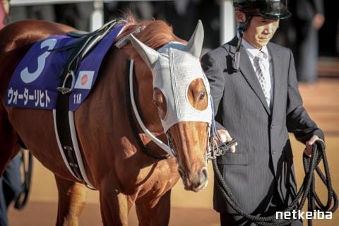 ウォーターリヒト