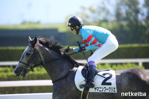 ヤマニンブークリエ