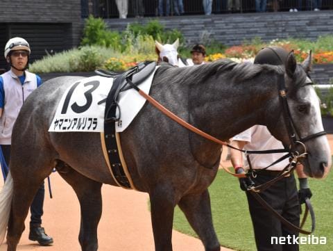 ヤマニンアルリフラ