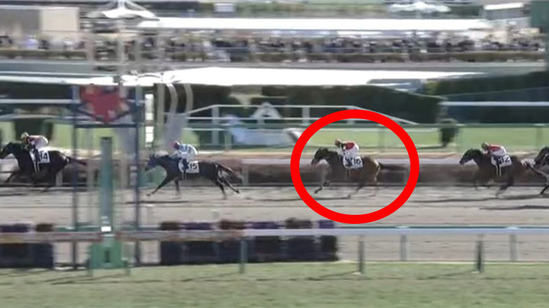 1月4日中山1R ゴール画像