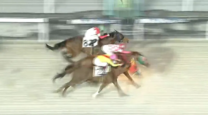 船橋競馬場 最後の直線での競り合い