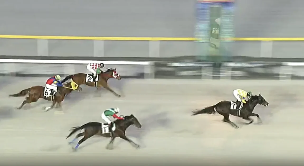 船橋競馬場 最後の直線での競り合い