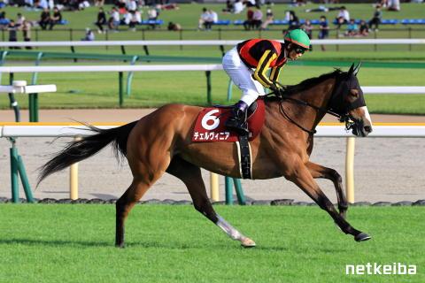 チェルヴィニア