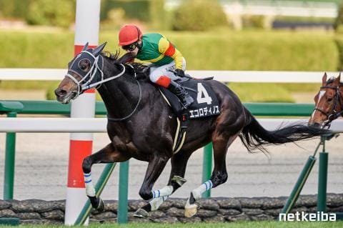 エコロディノス