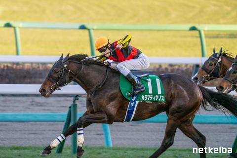 レーベンスティール