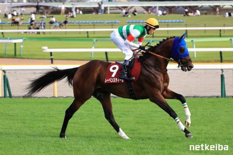 レーベンスティール