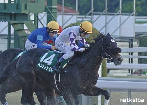 ペプチドナイル