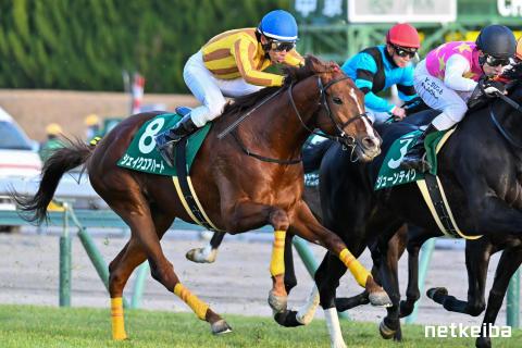 シェイクユアハート