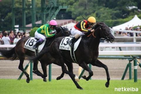 クロワデュノール