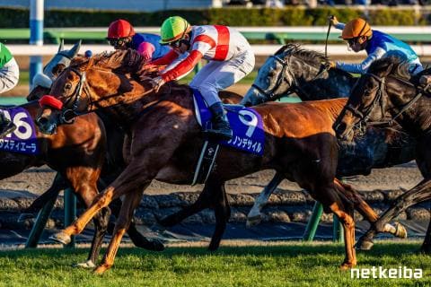 ダノンデサイル