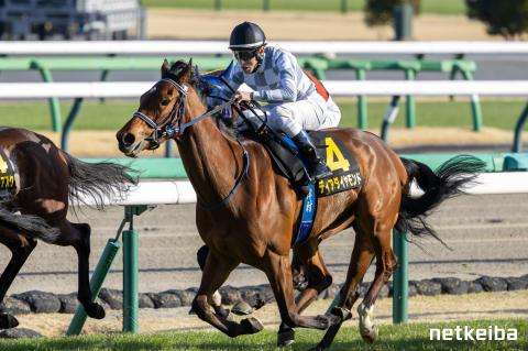 ディアダイヤモンド