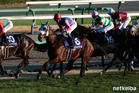 メイショウタバル