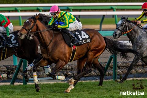 ミクニインスパイア