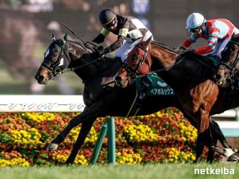 ペアポルックス