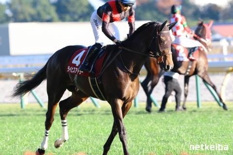 ライヒスアドラー