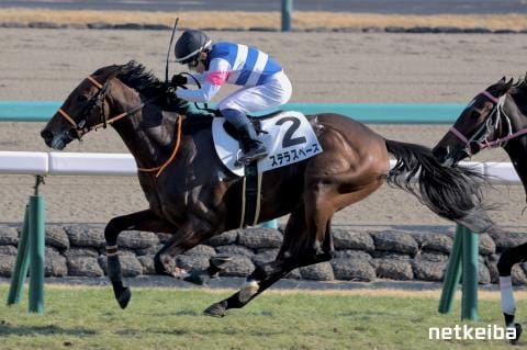 ステラスペース