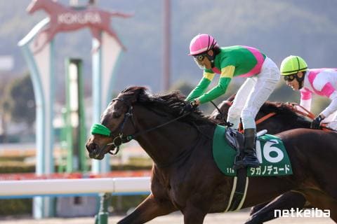 タガノデュード