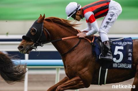 ウインカーネリアン