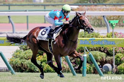 カヴァレリッツォ