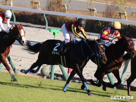 ラフターラインズ