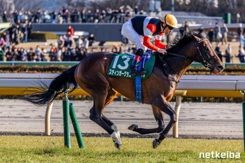 スティンガーグラス