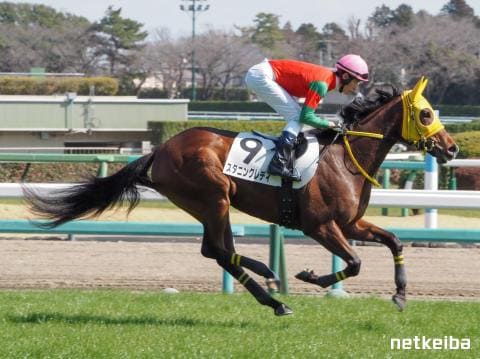 スタニングレディ