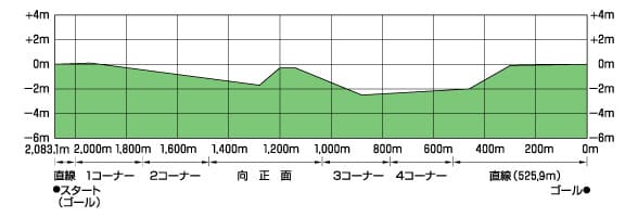 東京競馬場芝2000mコース高低差図