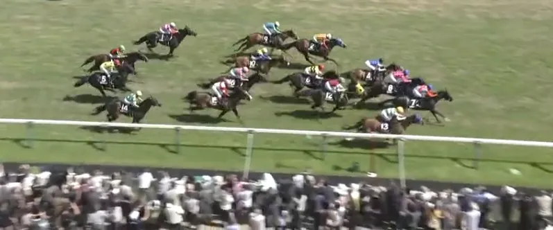 2026年5月17日の新潟9Rのレース決着時の画面。外ラチ沿いを激走する馬番7番ラヴェンデルや8番ブラックティンカーなどの競走馬たちの様子