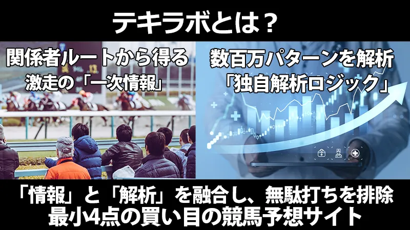競馬予想サイト「テキラボ」の説明。関係者ルートの「一次情報」と、数百パターン解析の「独自解析ロジック」を融合し、無駄打ちを排除した最小4点の買い目を提供する。
